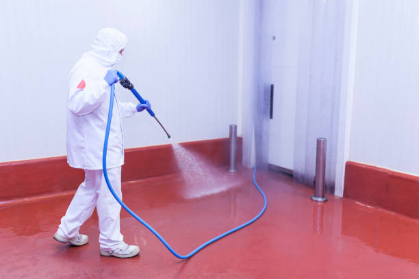 Best Solar Panel Cleaning  in North Hobbs, NM